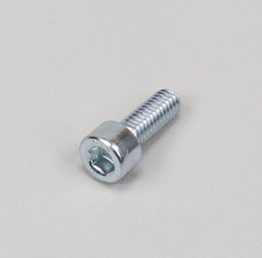 Vis 6x16 mm tête BTR bombée classe 10.9 (à l'unité) (Disque Ultra Bee)