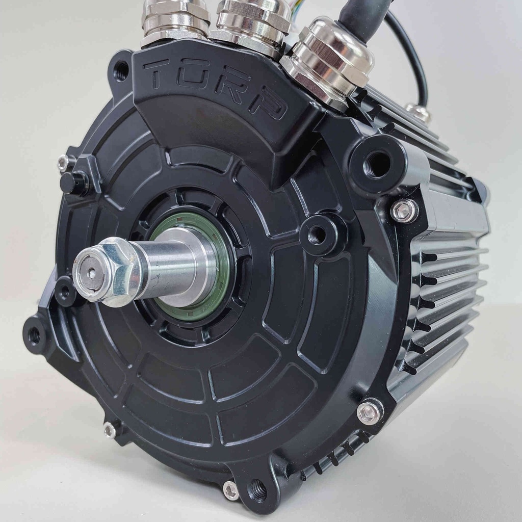 Moteur TORP TM50 Pro pour Sur-Ron Ultra Bee